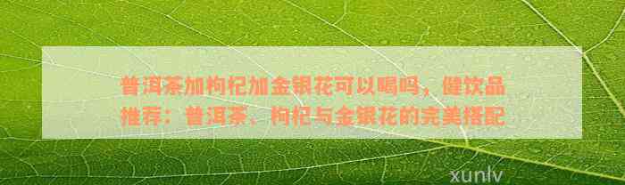 普洱茶加枸杞加金银花可以喝吗，健饮品推荐：普洱茶、枸杞与金银花的完美搭配