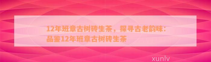 12年班章古树砖生茶，探寻古老韵味：品鉴12年班章古树砖生茶