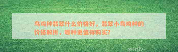 鸟鸡种翡翠什么价格好，翡翠小鸟鸡种的价格解析，哪种更值得购买？