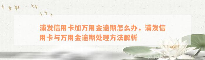 浦发信用卡加万用金逾期怎么办，浦发信用卡与万用金逾期处理方法解析