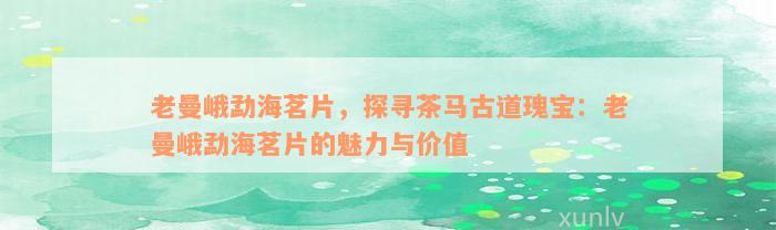 老曼峨勐海茗片，探寻茶马古道瑰宝：老曼峨勐海茗片的魅力与价值