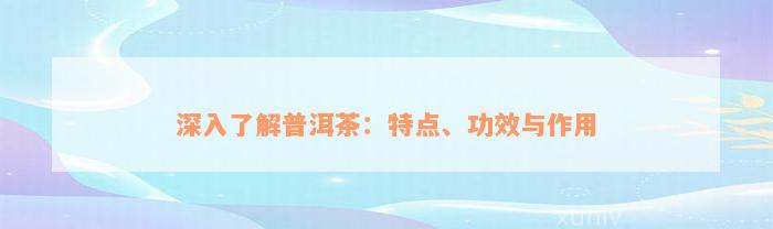 深入了解普洱茶：特点、功效与作用