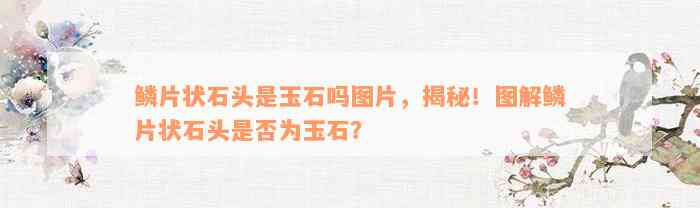 鳞片状石头是玉石吗图片，揭秘！图解鳞片状石头是否为玉石？