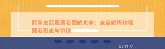 鳄鱼皮翡翠原石图解大全：全面解析珍稀原石形态与价值