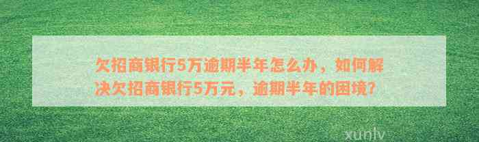 欠招商银行5万逾期半年怎么办，如何解决欠招商银行5万元，逾期半年的困境？