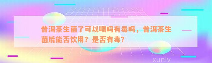 普洱茶生菌了可以喝吗有毒吗，普洱茶生菌后能否饮用？是否有毒？