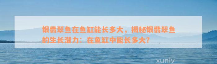 银翡翠鱼在鱼缸能长多大，揭秘银翡翠鱼的生长潜力：在鱼缸中能长多大？