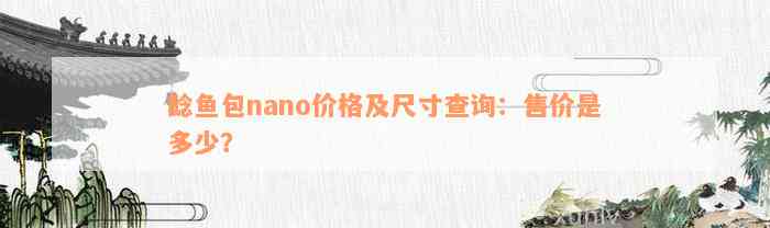 鲶鱼包nano价格及尺寸查询：售价是多少？