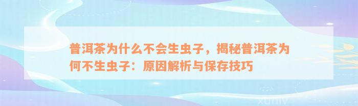 普洱茶为什么不会生虫子，揭秘普洱茶为何不生虫子：原因解析与保存技巧