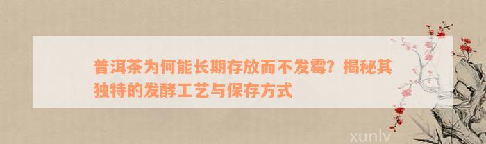 普洱茶为何能长期存放而不发霉？揭秘其独特的发酵工艺与保存方式