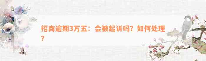 招商逾期3万五：会被起诉吗？如何处理？