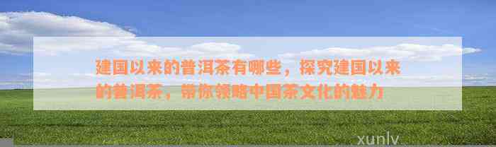 建国以来的普洱茶有哪些，探究建国以来的普洱茶，带你领略中国茶文化的魅力