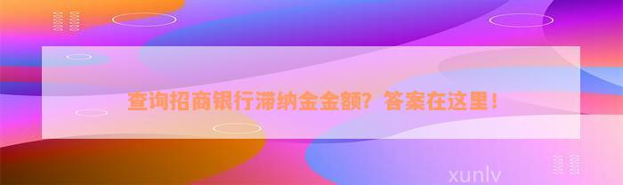 查询招商银行滞纳金金额？答案在这里！