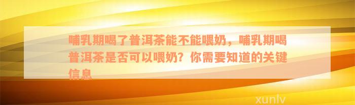 哺乳期喝了普洱茶能不能喂奶，哺乳期喝普洱茶是否可以喂奶？你需要知道的关键信息