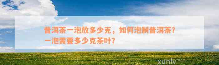 普洱茶一泡放多少克，如何泡制普洱茶？一泡需要多少克茶叶？