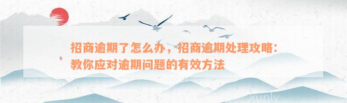 招商逾期了怎么办，招商逾期处理攻略：教你应对逾期问题的有效方法