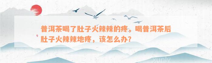 普洱茶喝了肚子火辣辣的疼，喝普洱茶后肚子火辣辣地疼，该怎么办？