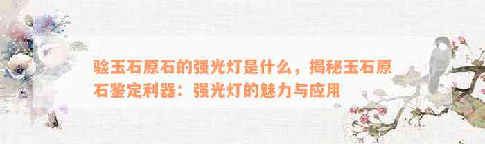 验玉石原石的强光灯是什么，揭秘玉石原石鉴定利器：强光灯的魅力与应用