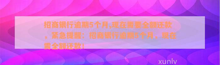 招商银行逾期5个月,现在需要全额还款，紧急提醒：招商银行逾期5个月，现在需全额还款！