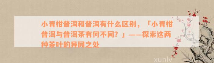 小青柑普洱和普洱有什么区别，「小青柑普洱与普洱茶有何不同？」——探索这两种茶叶的异同之处