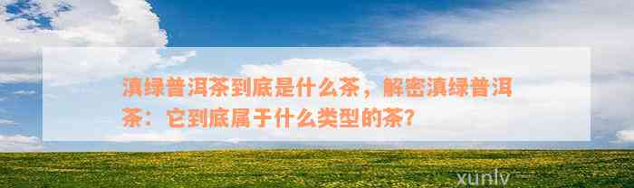 滇绿普洱茶到底是什么茶，解密滇绿普洱茶：它到底属于什么类型的茶？