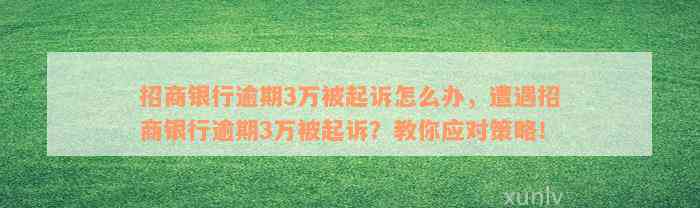 招商银行逾期3万被起诉怎么办，遭遇招商银行逾期3万被起诉？教你应对策略！