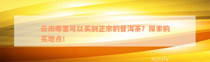 云南哪里可以买到正宗的普洱茶？探索购买地点！