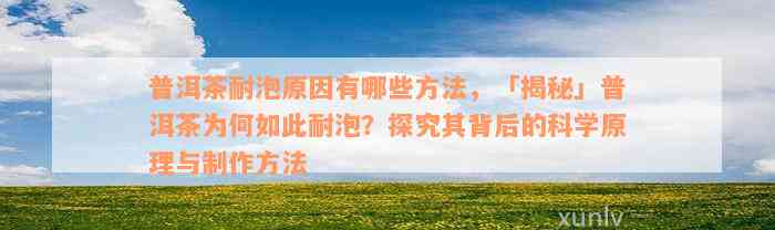 普洱茶耐泡原因有哪些方法，「揭秘」普洱茶为何如此耐泡？探究其背后的科学原理与制作方法