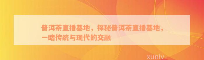 普洱茶直播基地，探秘普洱茶直播基地，一睹传统与现代的交融