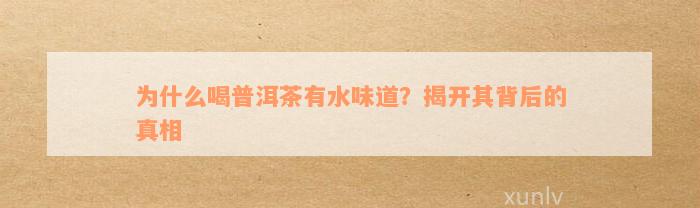 为什么喝普洱茶有水味道？揭开其背后的真相