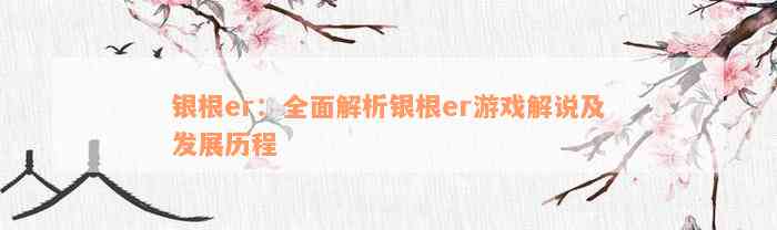 银根er：全面解析银根er游戏解说及发展历程