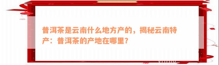 普洱茶是云南什么地方产的，揭秘云南特产：普洱茶的产地在哪里？