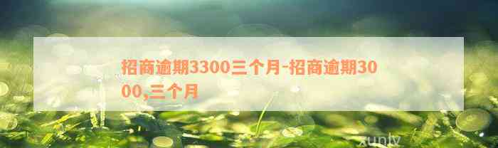 招商逾期3300三个月-招商逾期3000,三个月