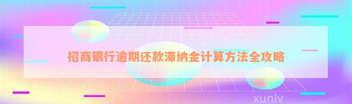 招商银行逾期还款滞纳金计算方法全攻略