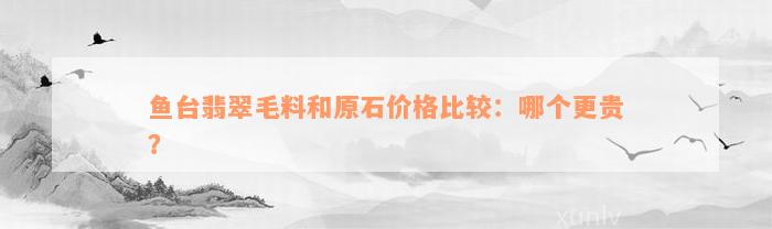 鱼台翡翠毛料和原石价格比较：哪个更贵？