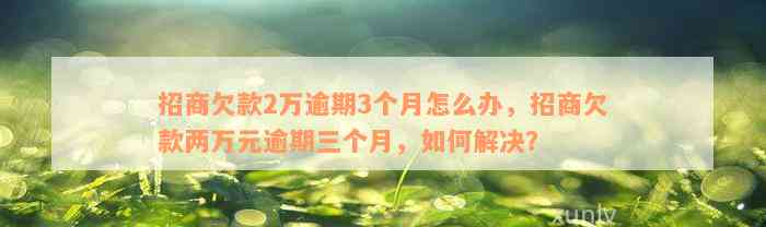 招商欠款2万逾期3个月怎么办，招商欠款两万元逾期三个月，如何解决？