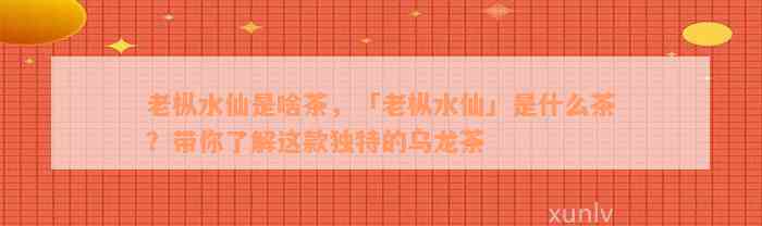 老枞水仙是啥茶，「老枞水仙」是什么茶？带你了解这款独特的乌龙茶