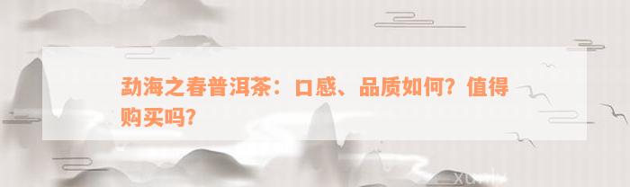 勐海之春普洱茶：口感、品质如何？值得购买吗？