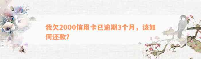 我欠2000信用卡已逾期3个月，该如何还款？