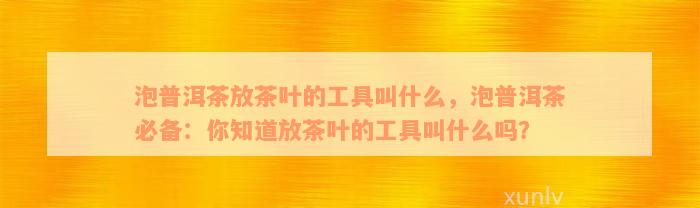 泡普洱茶放茶叶的工具叫什么，泡普洱茶必备：你知道放茶叶的工具叫什么吗？