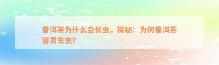 普洱茶为什么会长虫，探秘：为何普洱茶容易生虫？