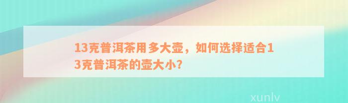 13克普洱茶用多大壶，如何选择适合13克普洱茶的壶大小？