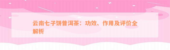 云南七子饼普洱茶：功效、作用及评价全解析