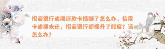 招商银行逾期还款卡提额了怎么办，信用卡逾期未还，招商银行却提升了额度？该怎么办？