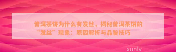 普洱茶饼为什么有发丝，揭秘普洱茶饼的“发丝”现象：原因解析与品鉴技巧