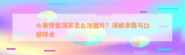 小青柑普洱茶怎么泡图片？详解步骤与口感特点