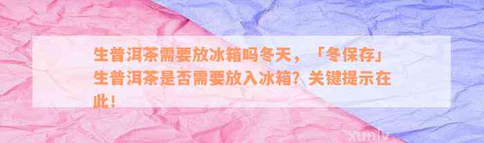 生普洱茶需要放冰箱吗冬天，「冬保存」生普洱茶是否需要放入冰箱？关键提示在此！