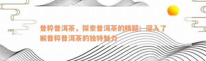 普粹普洱茶，探索普洱茶的精髓：深入了解普粹普洱茶的独特魅力