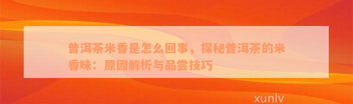 普洱茶米香是怎么回事，探秘普洱茶的米香味：原因解析与品尝技巧