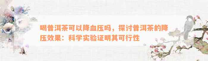 喝普洱茶可以降血压吗，探讨普洱茶的降压效果：科学实验证明其可行性